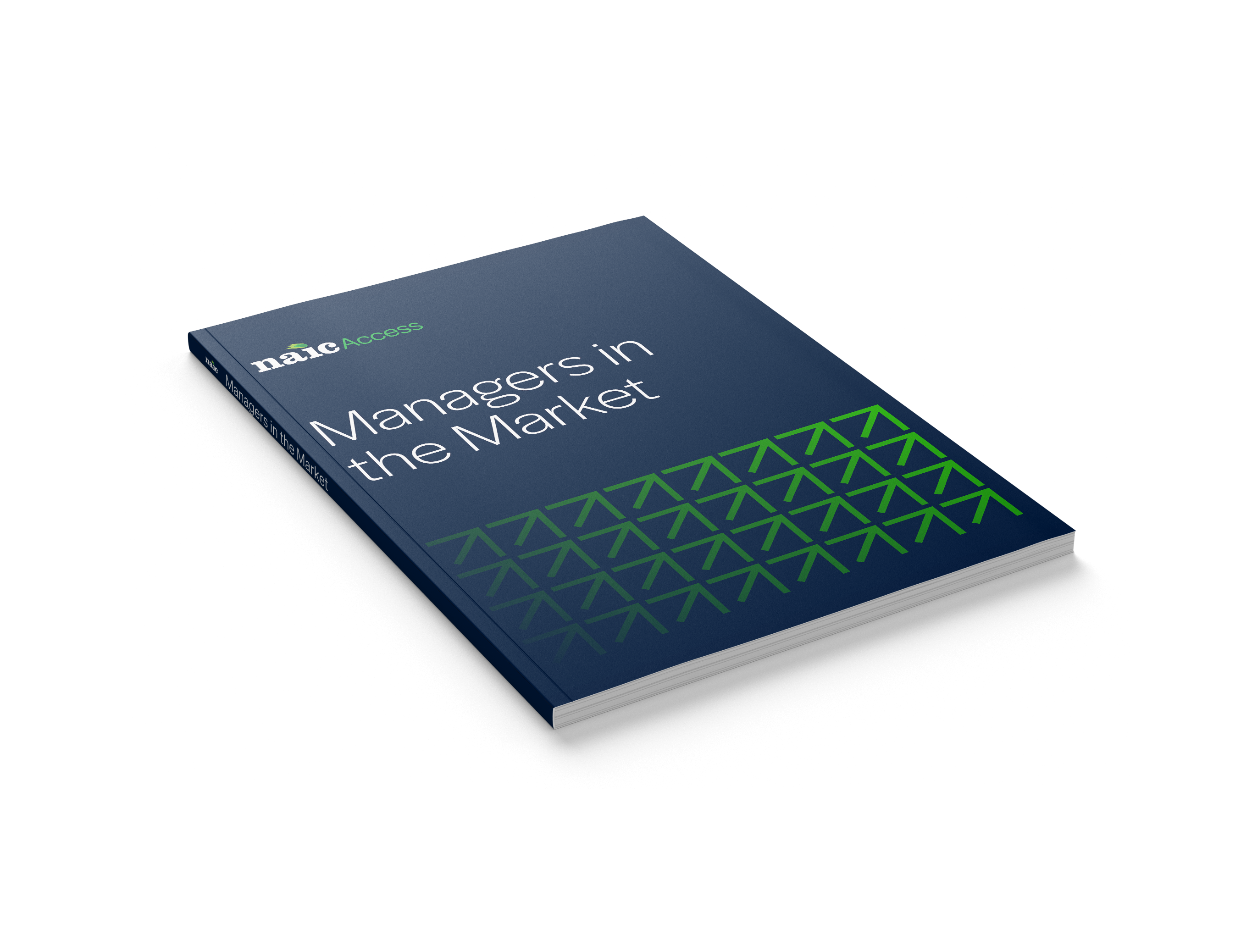 Undated MINT report mockup